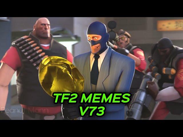 TF2 MEMES V73