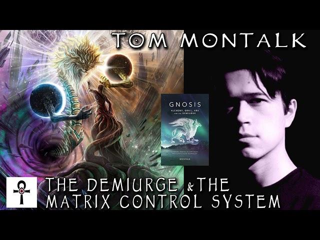 The Demiurge And The Matrix Control System