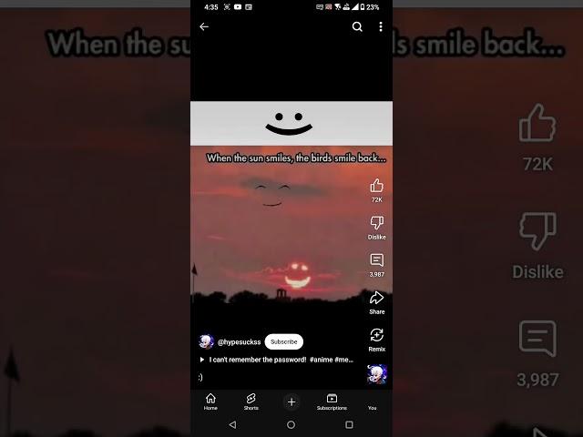 When the sun smile the birds smile back