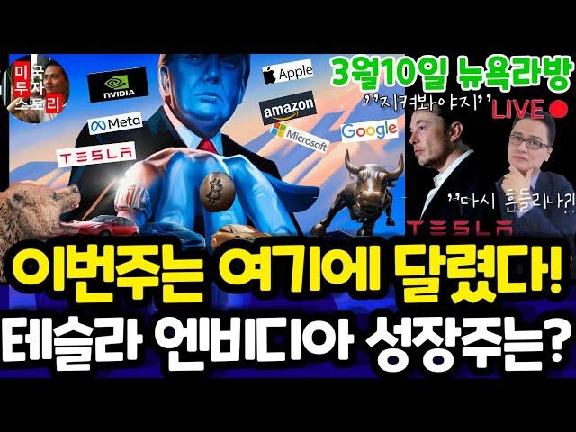 미국주식/전기차 인공지능 양자 바이오 반도체/테슬라 엔비디아 구글 애플 아마존 메타 마이크로소프트 팔란티어 아이온큐 리게티 SMCI LLY 노보등 $tsla #tesla