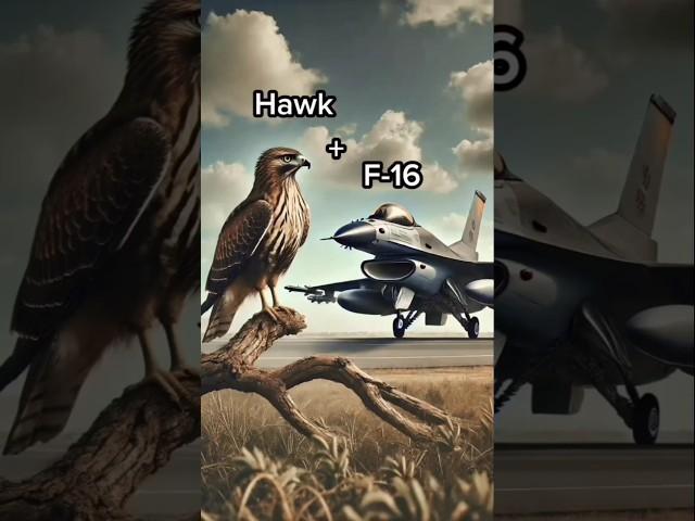 2 animal combined video|#new#trending#viralshorts#trendingshorts#attitude#animals#status#explore#xml