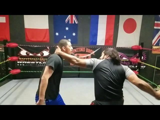 Training video: Punches