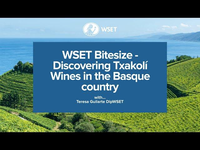 WSET Bitesize - Discovering Txakolí Wines in the Basque country