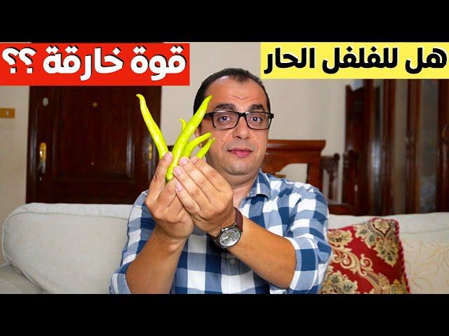 هل الفلفل الحار له قوة خارقة ⁉️