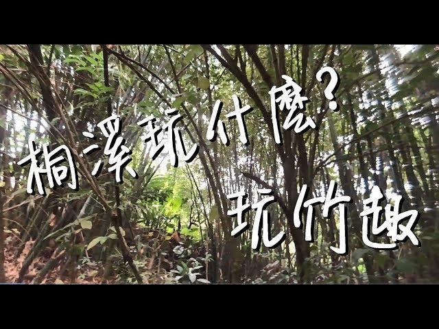 竹子可以玩什麼？桐溪日記【口羊太太】