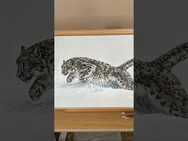 Painting a snow leopard in acrylic. 🩵 #art #painting #acrylicpainting #shorts #snow