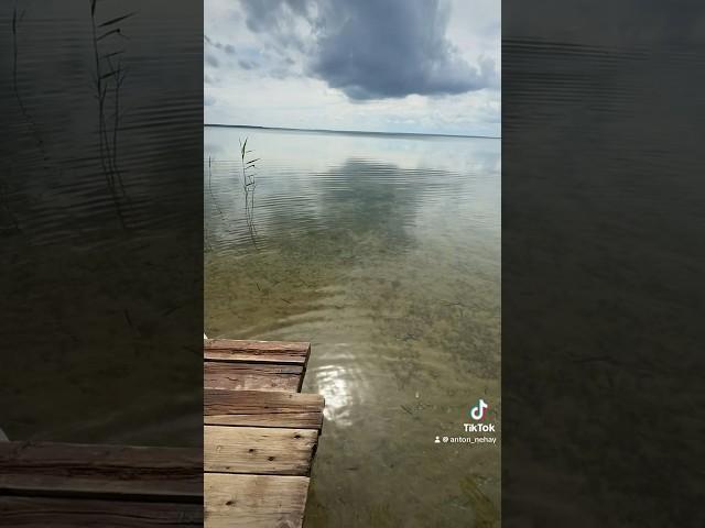 #отдых #наберегу #нарочь #неожиданно #красивыйвид