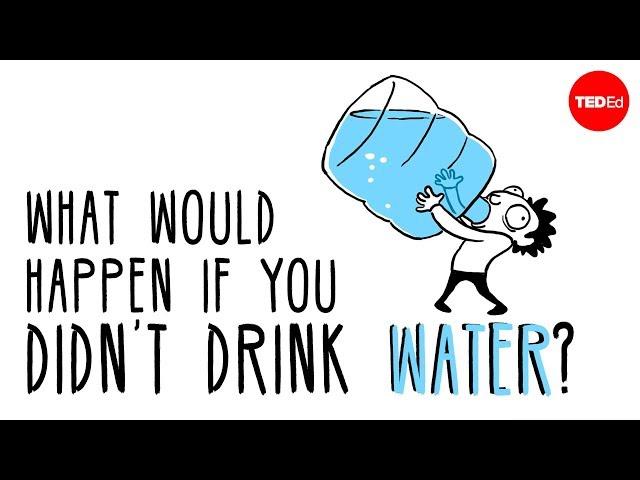 What would happen if you didn’t drink water? - Mia Nacamulli