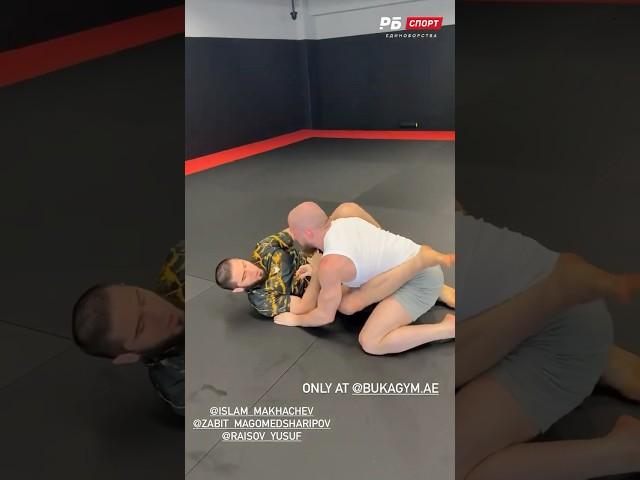 Ислам Махачев и Юсуф Раисов поборолись #махачев #раисов #ufc #mma