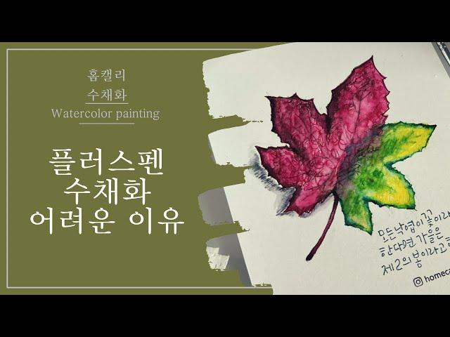 모나미 플러스펜 수채화 망하는 이유, 낙엽그리기(캘리그라피, 다꾸, calligraphy, watercolor painting)