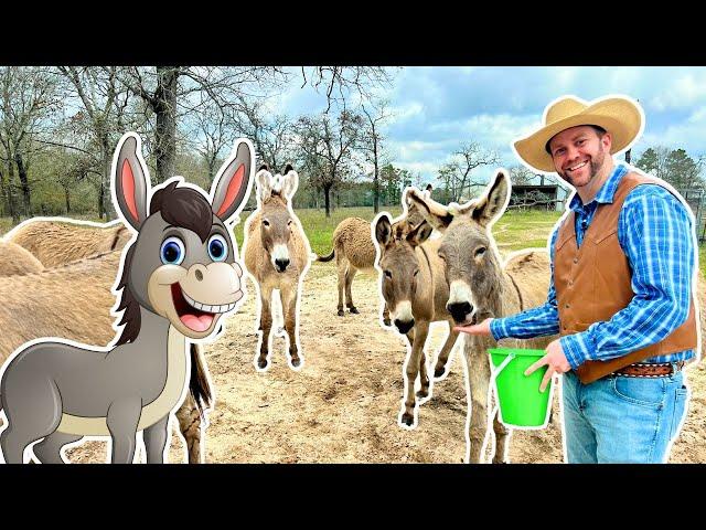 Let's Meet Rescue Donkeys | Donkey Farm Animals for Kids