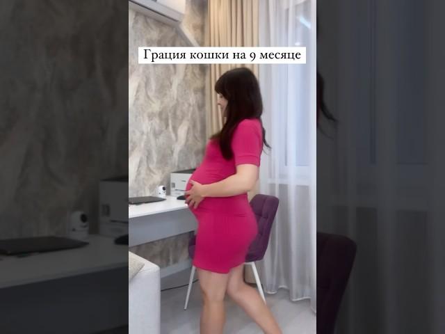 Грация кошки #Беременность #роды #беременяшка #pregnant #pregnancy #смешно #смешное #shorts #шортс