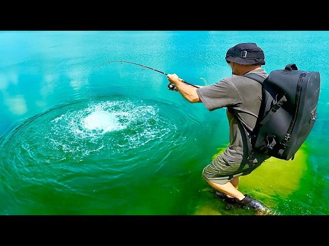 Urban Fishing in Florida