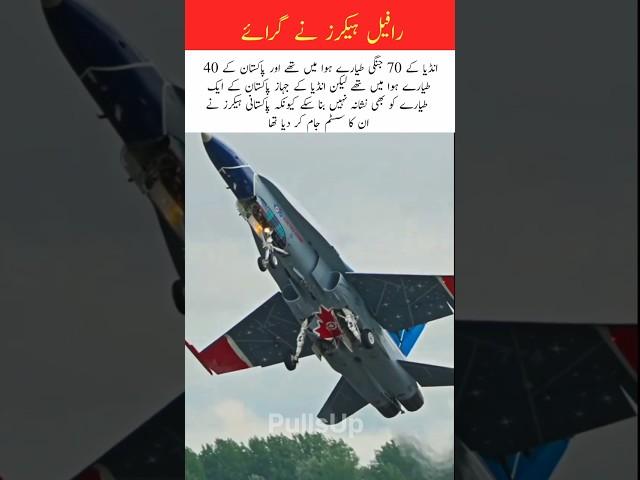 Pakistani hacker's played a crucial role #viralshorts #trending #airforce #technology #birds #usa