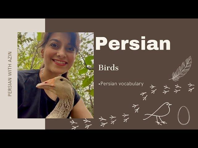 Persian vocabulary: Birds