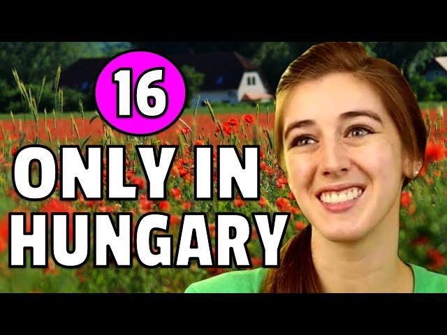 16 CRAZIEST Things You Only See In Hungary