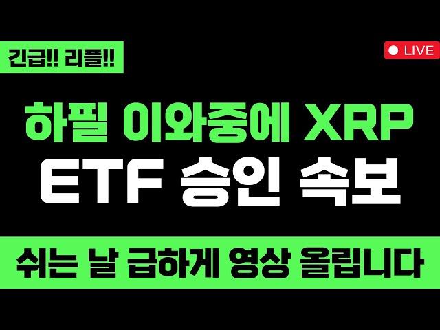 리플 미쳤습니다 하필 이와중에 터진 XRP ETF 승인속보 대박입니다 쉬는 날 급하게 영상 올립니다 XRP 무조건 올라요 #엑스알피 #리플코인 #엑스알피전망