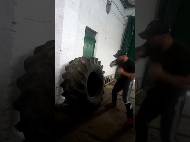 шина т-150