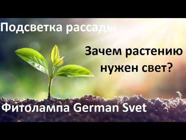 Подсветка рассады. Фитолампа Герман свет.