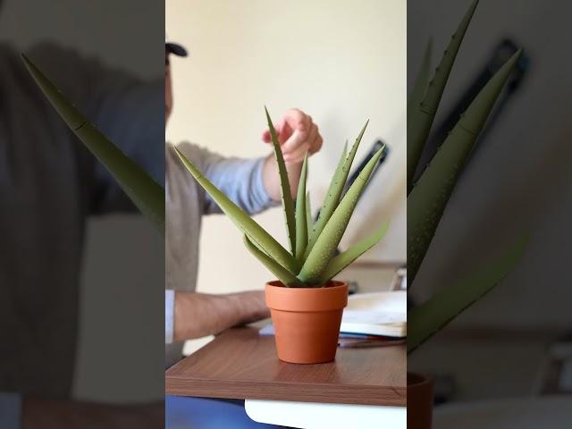 Can you 3D print real plants?