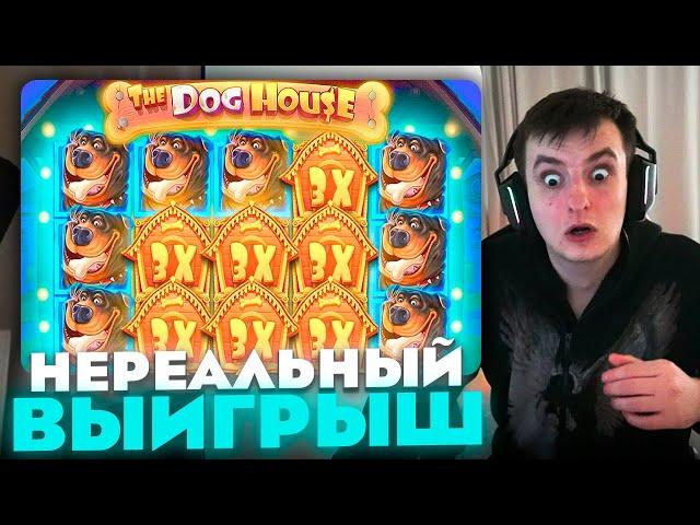 ЗЛОЙ ПОЙМАЛ НЕРЕАЛЬНЫЙ ВЫИГРЫШ В THE DOG HOUSE | ЛУЧШИЕ МОМЕНТЫ ЗЛОГО №155 | Заносы Недели