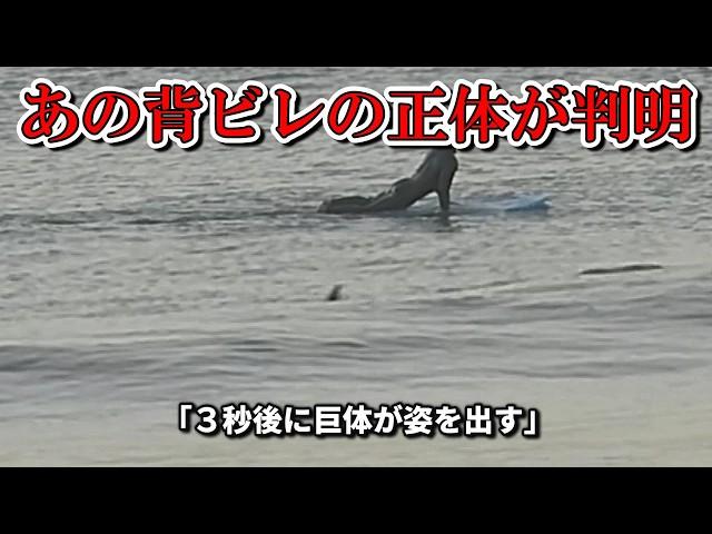 【日本国内】サムネの３秒後に姿を現す巨大生物！！