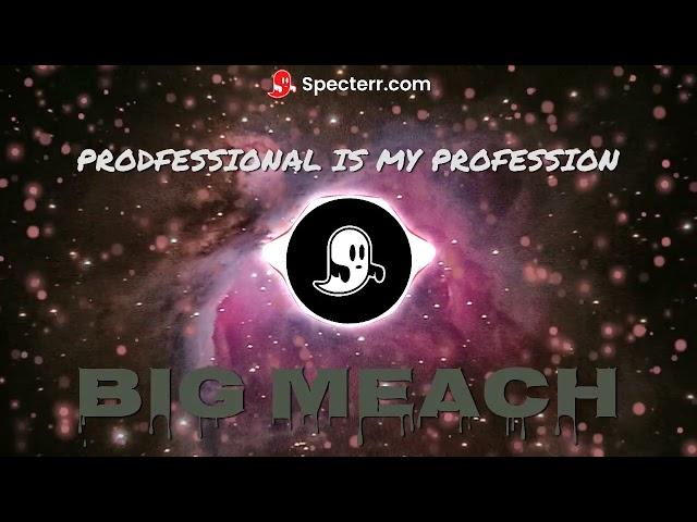 PROFESSIONAL IS MY PROFESSION