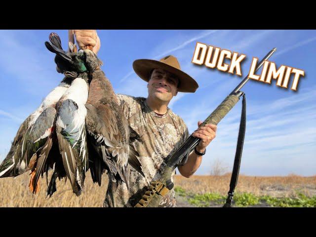 Fog clears to reveal 100's of DUCKS! Solo Limit!