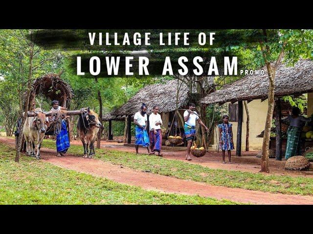 Village Life Of Lower Assam People || Plenty Facts || Coming Soon