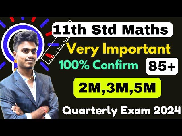 11th maths important questions for quarterly exam 2024 | 11th maths important questions 2,3,5 Marks