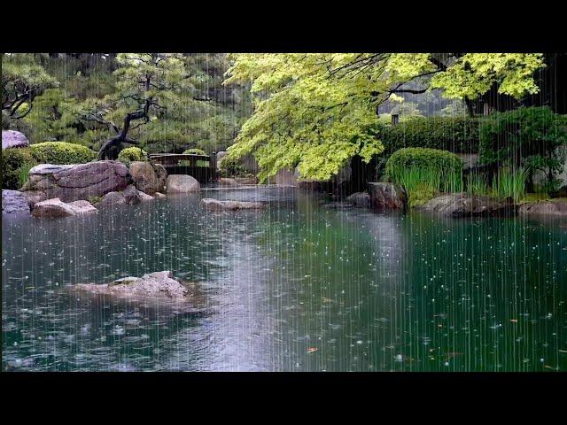 Raindrops Falling on a Garden Pond, Relaxing Rain Sounds that Help you Relax, Stress Relief