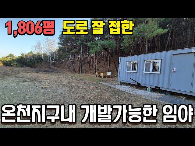 경산 5m 도로 잘 접하고 개발가능한 1,806 임야 급매 636