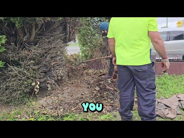 Trimming TREES and putting STONES in the GARDEN