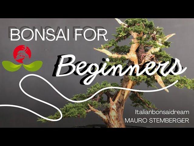 Bonsai for Beginners