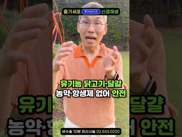 "한여름 '보약' 한그릇 드세요" 복날 삼계탕 닭백숙은 이열치열 음식, 치킨은?"고단백 보양식,누룽지백숙 닭구이는 초복 중복 말복에 무조건 추천. 소화불량에 좋고,기운없을때 건강식