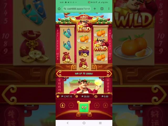 Fortune ox 100 spins multiple win!