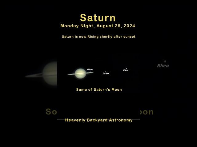 Saturn Live View Short #tbaic #astrophotography #backyardastronomy