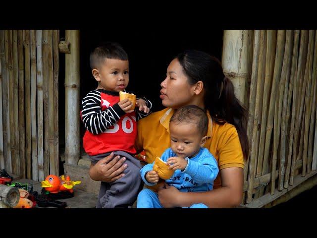 Harvesting tomato garden, and how to make sticky rice to sell at the market, cooking. Trieu Thu Thuy