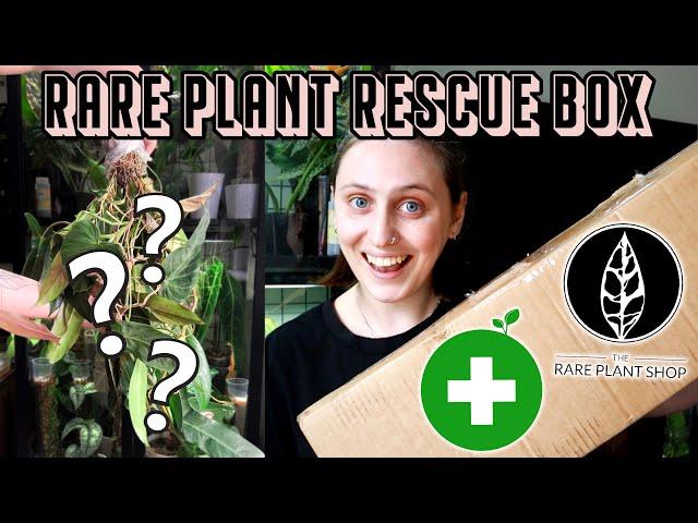 can I save these rare plants?  The Rare Plant Shop Rescue Box Haul