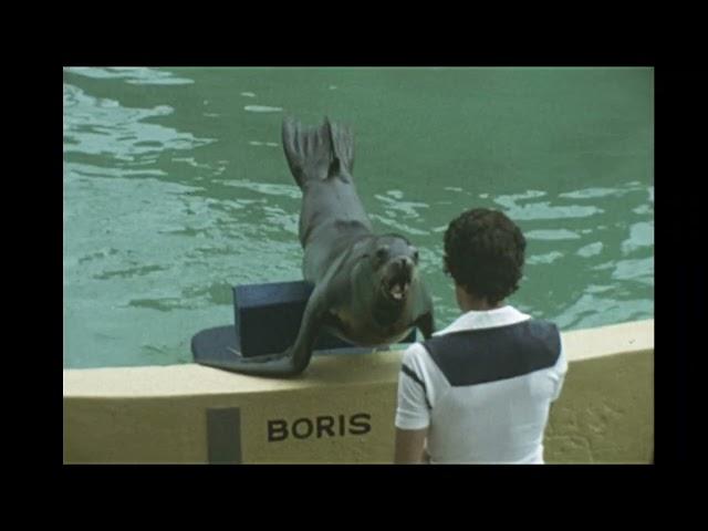 A Holiday in Florida, USA. 1978