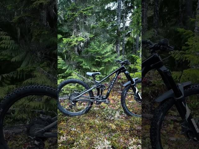 Bike Check! Marin Alpine Trail Carbon  #mtb #bike