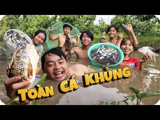 Tony | Thử Thách Tay Không Bắt Cá  𝐂𝐚𝐭𝐜𝐡 𝐅𝐢𝐬𝐡 𝐖𝐢𝐭𝐡 𝐇𝐚𝐧𝐝