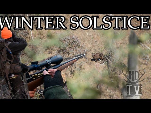 Winter Solstice hunt for Sambar Deer over night