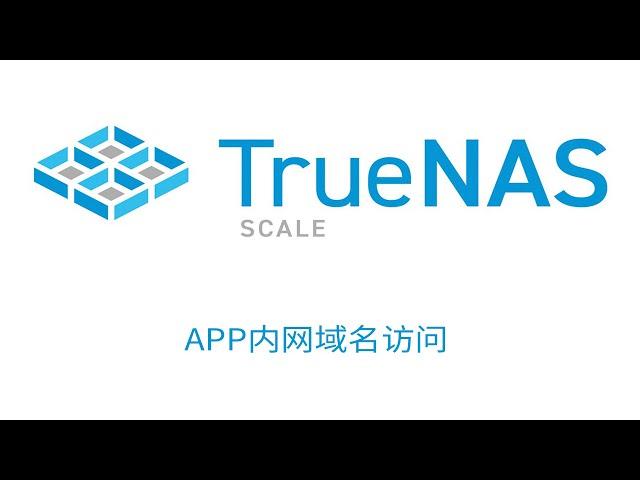 TrueNAS SCALE APP内网域名访问，分流思路