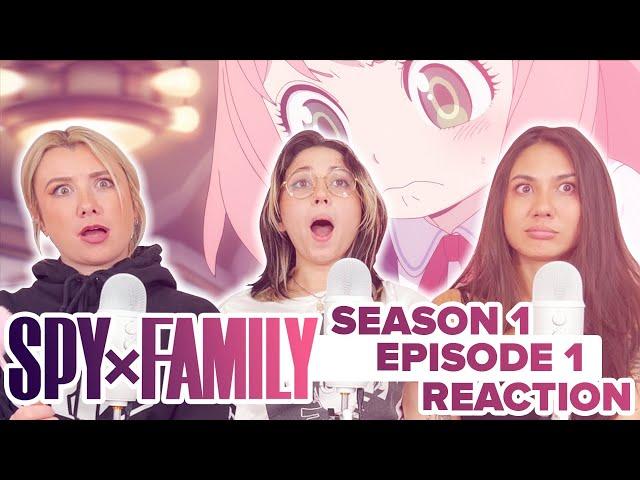 Spy x Family - Reaction - S1E1 - Operation Strix
