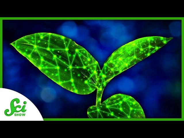 Making Plants High-Tech With Artificial Neurons | SciShow News