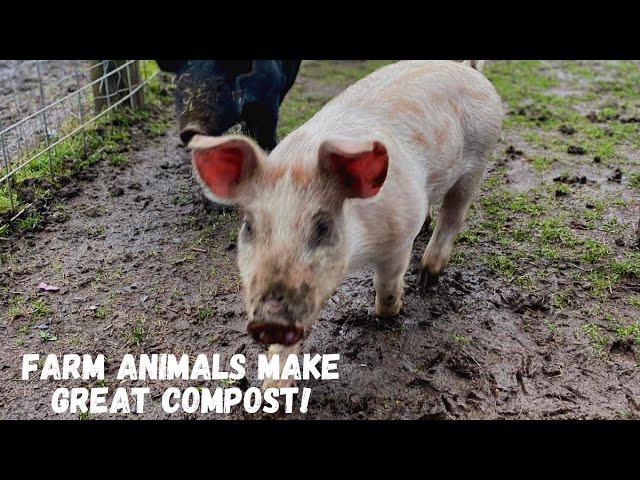 Farm Animals Make Great Compost!