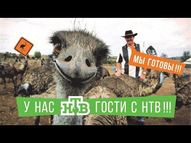 НТВ у нас в гостях! на ферме Макарьево!