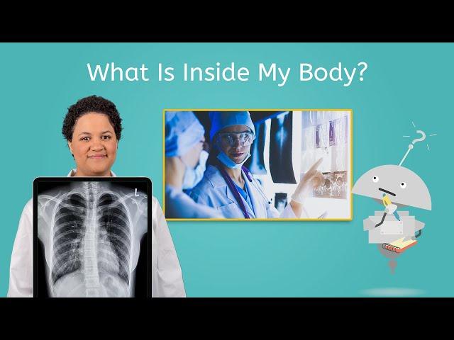 What Is Inside My Body? - Science All Around Me for Kids!