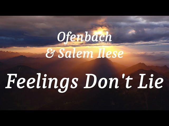 Ofenbach & Salem Ilese - Feelings Don't Lie (lyrics)